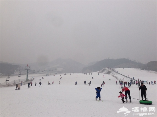 石家庄冬季去哪玩 石家庄周边滑雪场推荐[墙根网]