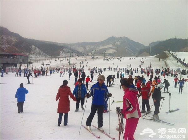 石家庄冬季去哪玩 石家庄周边滑雪场推荐[墙根网]