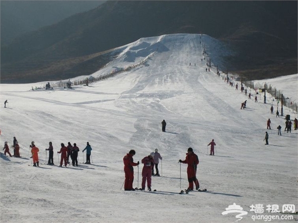石家庄冬季去哪玩 石家庄周边滑雪场推荐[墙根网]