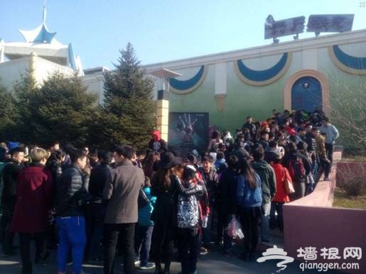 长影世纪城万圣节惊魂 “群魔大趴”险象环生[墙根网]