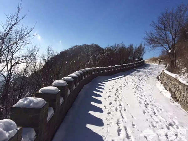 百花山银装素裹,正式封山闭园[墙根网]