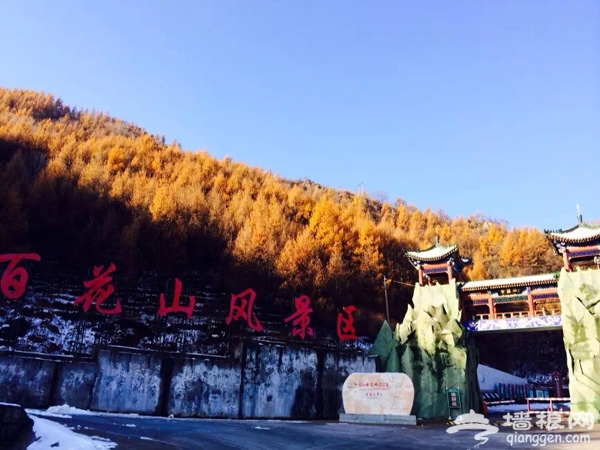 百花山银装素裹,正式封山闭园[墙根网]