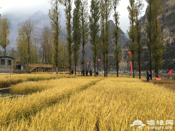 房山稻作文化节活动在我区十渡风景名胜区举办[墙根网]