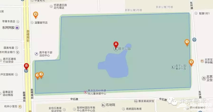 2015昌平公园第十五届菊花展开幕[墙根网]