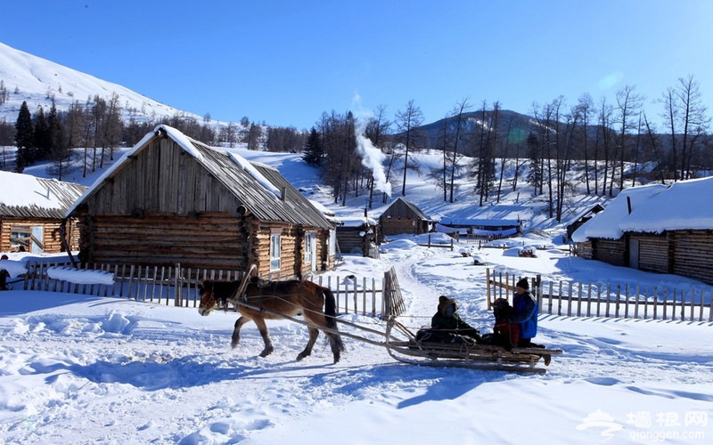 最早赏雪去处大比拼 各地雪景“宫心计”[墙根网]
