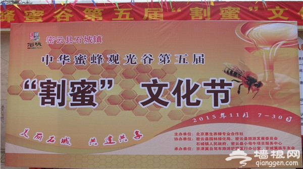 密云县石城镇黄峪口村举办第五届割蜜节[墙根网]