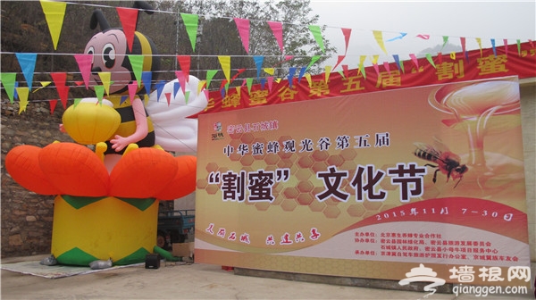 密云县石城镇黄峪口村举办第五届割蜜节[墙根网]