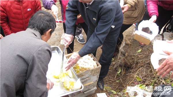 密云县石城镇黄峪口村举办第五届割蜜节[墙根网]