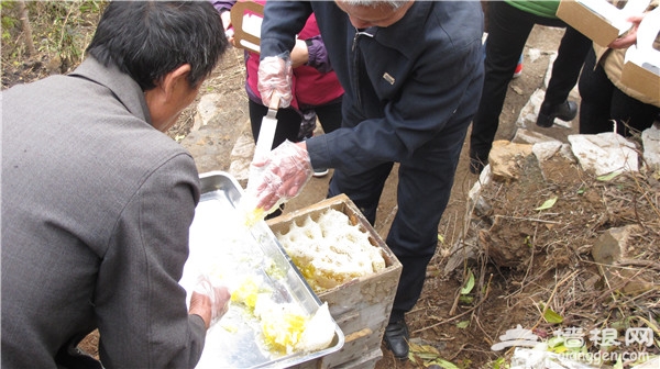 密云县石城镇黄峪口村举办第五届割蜜节[墙根网]