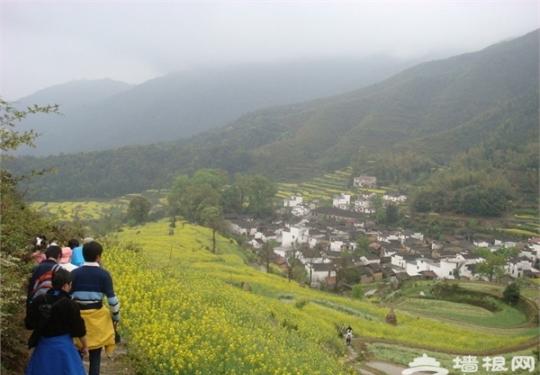 2016江西婺源菜花节
