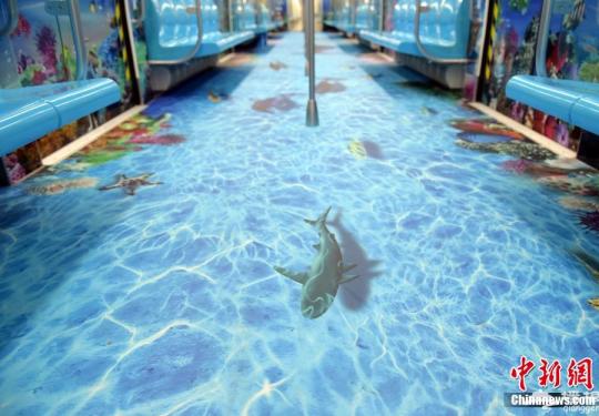 青岛地铁推出海底世界主题车厢 海洋动物惟妙惟肖