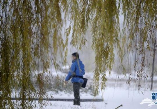 北京:燕山深处雪飘飘 野鸭湖海坨山赏雪游玩指南