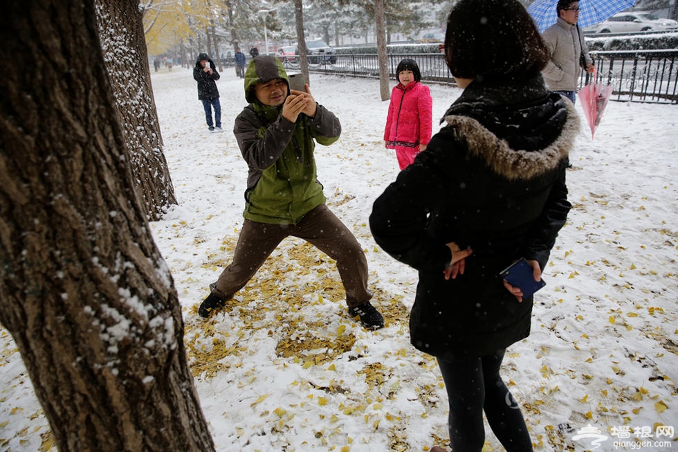 北京遭大雪突袭 银杏大道成市民自拍地[墙根网]