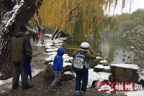 雪天看动物 北京动物园游客兴致不减[墙根网]