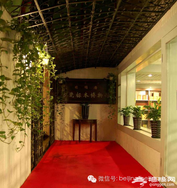 京城深藏不露的私人博物馆，趁着人少赶紧去！[墙根网]