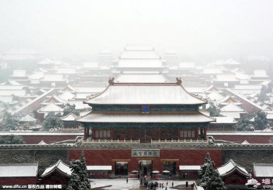 北京遭大雪突袭 银杏大道成市民自拍地