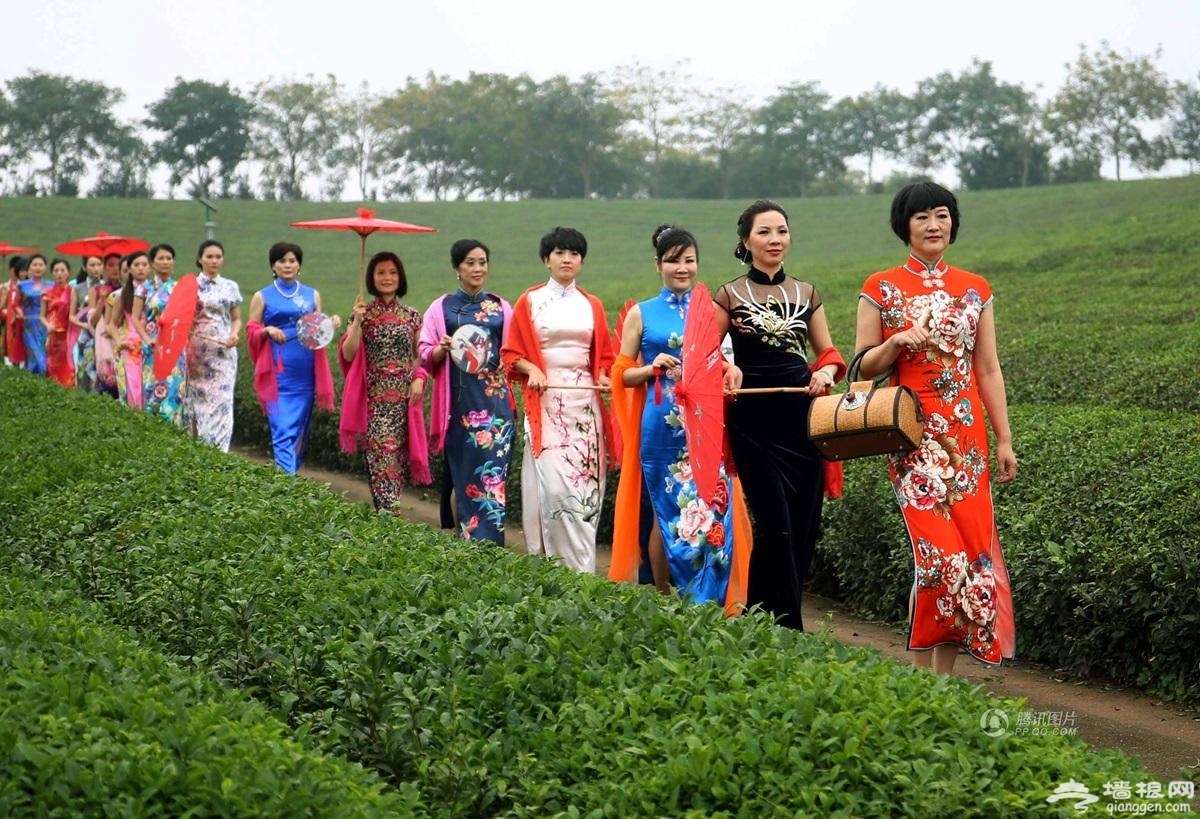浙江20多名女干部穿旗袍走秀宣传古村旅游[墙根网]