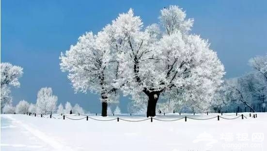 在北京如何拍出高逼格的雪景 适用所有的冰雪世界[墙根网]