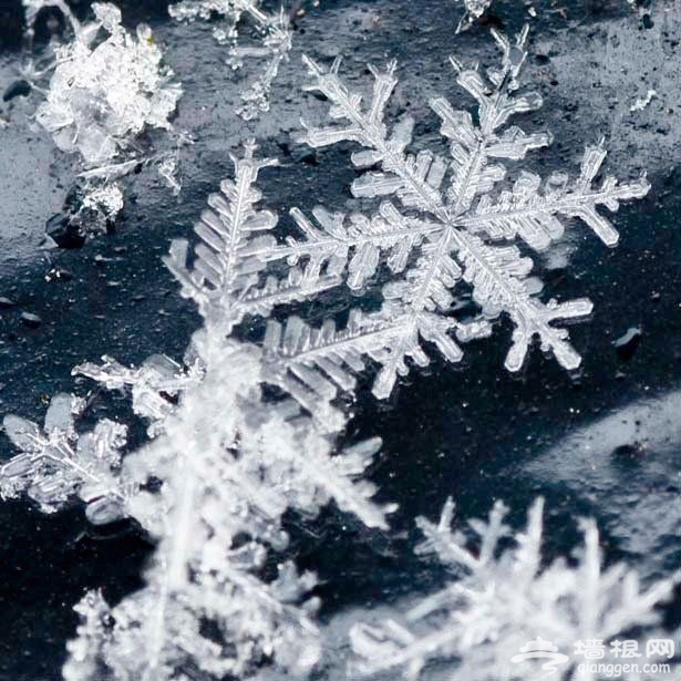 在北京如何拍出高逼格的雪景 适用所有的冰雪世界[墙根网]