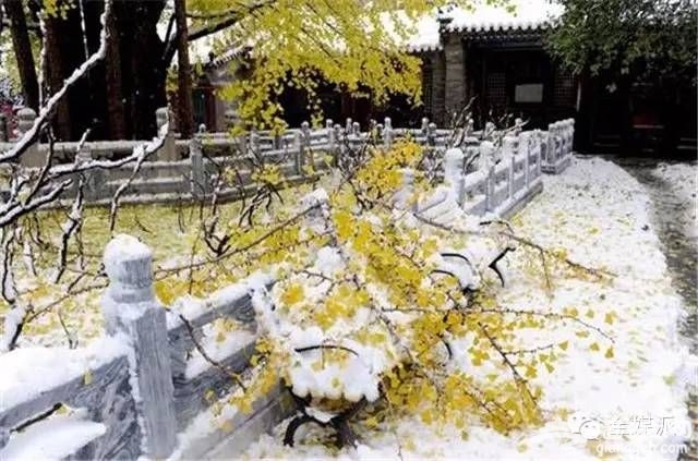 北京适合12星座赏雪的地推荐[墙根网]