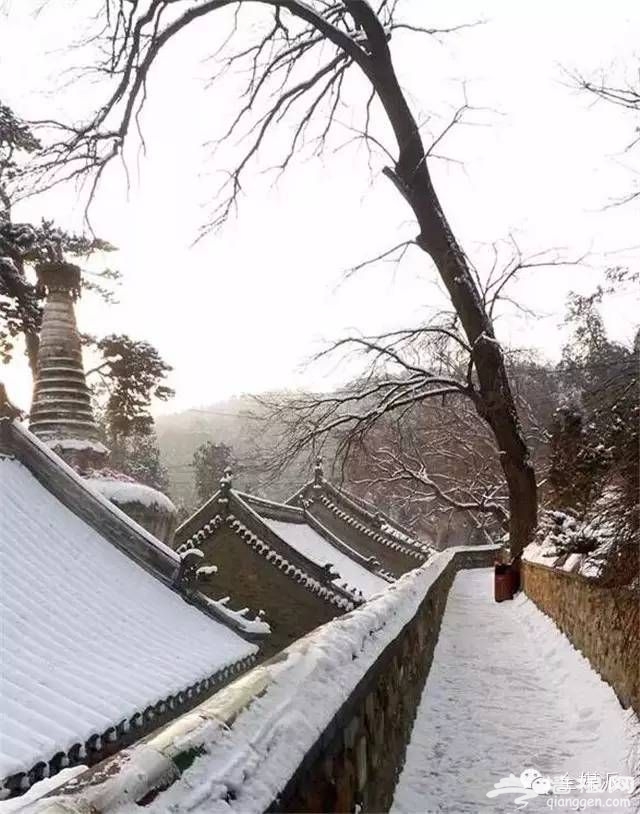 点击查看下一页