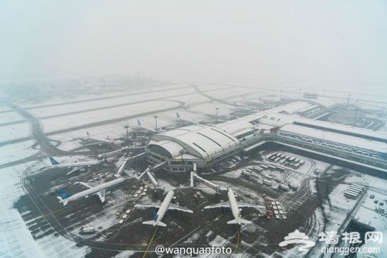 亲爱的旅客，关上舱门后别再问为什么还不飞了[墙根网]