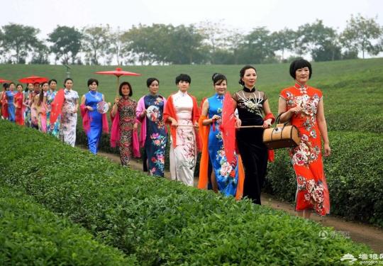 浙江20多名女干部穿旗袍走秀宣传古村旅游