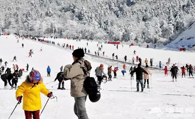 2016去天津滑雪  11.27蓟县玉龙滑雪场试营业 19.9畅滑全天[墙根网]