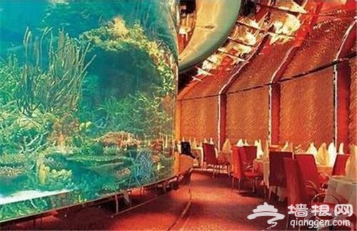 十星级酒店吗你见过吗？[墙根网]