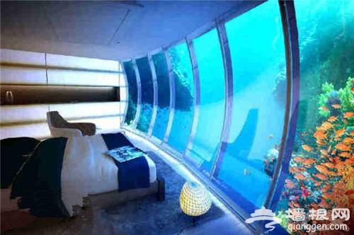 十星级酒店吗你见过吗？[墙根网]