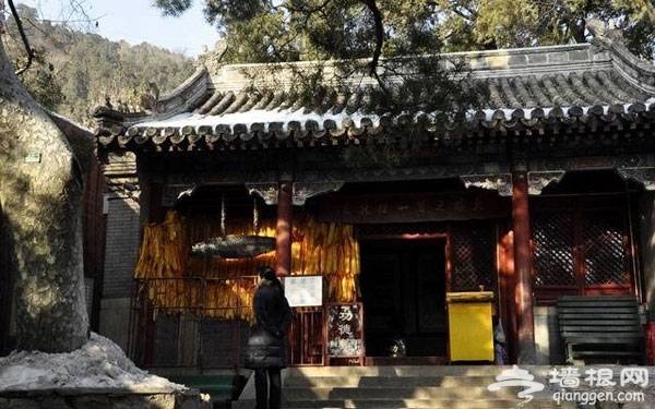 北京冬季赏雪去哪儿好？ 推荐京郊六大观雪胜地[墙根网]