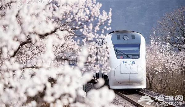 北京有趟6块钱的列车，惊艳四季！[墙根网]