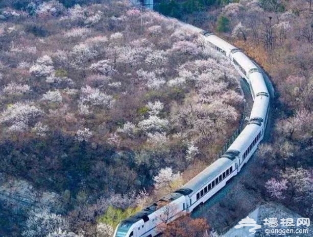 北京有趟6块钱的列车，惊艳四季！[墙根网]