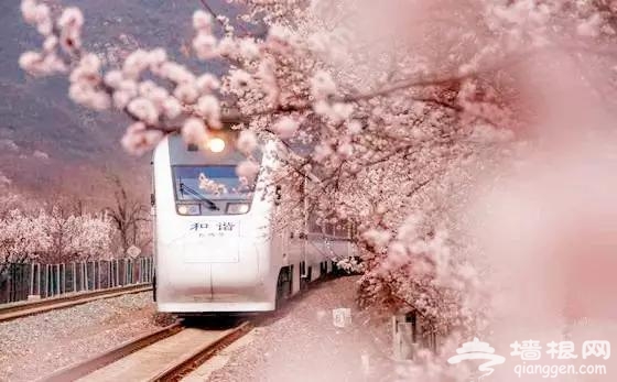 北京有趟6块钱的列车，惊艳四季！[墙根网]