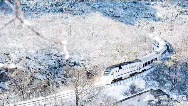 北京有趟6块钱的列车，惊艳四季！[墙根网]