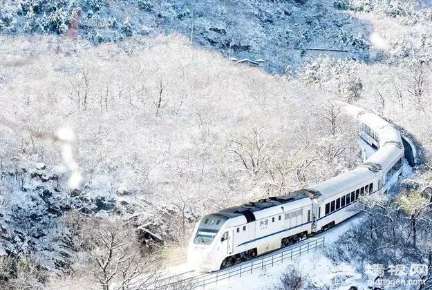 北京有趟6块钱的列车，惊艳四季！[墙根网]
