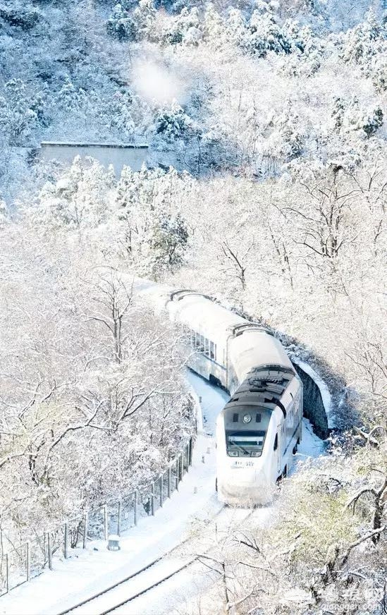 北京有趟6块钱的列车，惊艳四季！[墙根网]