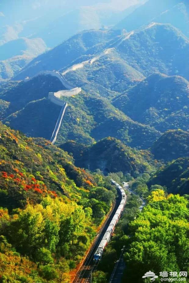 北京有趟6块钱的列车，惊艳四季！[墙根网]