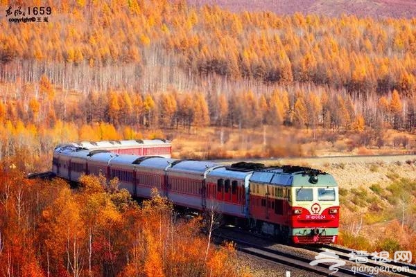 北京有趟6块钱的列车，惊艳四季！[墙根网]