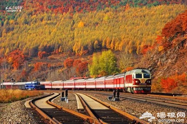北京有趟6块钱的列车，惊艳四季！[墙根网]