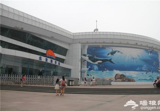 北京室内亲子游好去处 北京海洋馆一日游