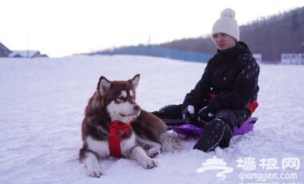 王思聪晒滑雪照 王思聪历任女友资料曝光