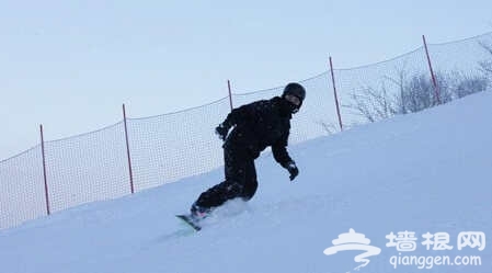 王思聪晒滑雪照 深扒王思聪“后宫团”历任女友资料曝光