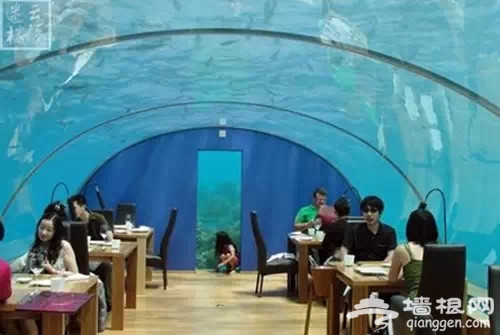 在北京，你一定想去的那些餐厅！