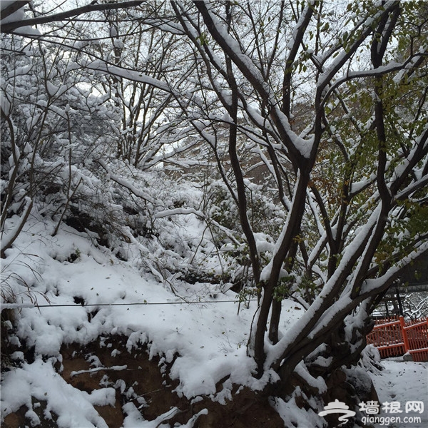寻“密”冬情 体验密云冰雪之旅[墙根网]