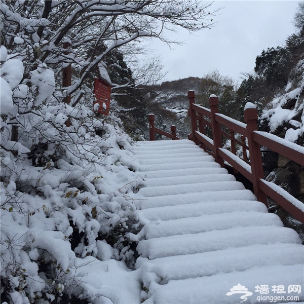 寻“密”冬情 体验密云冰雪之旅[墙根网]
