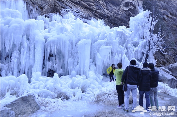 寻“密”冬情 体验密云冰雪之旅[墙根网]