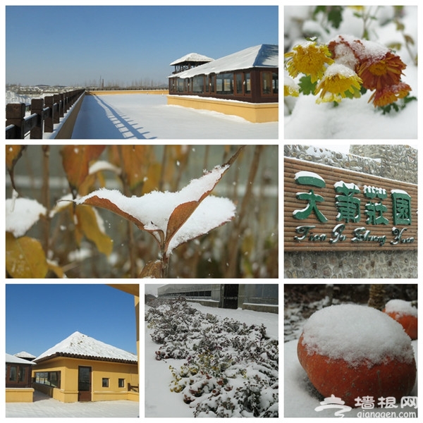 寻“密”冬情 体验密云冰雪之旅[墙根网]