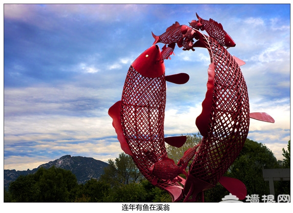 寻“密”冬情 体验密云冰雪之旅[墙根网]