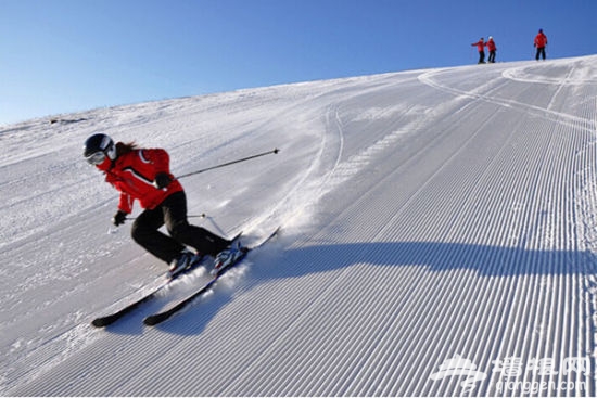 密苑云顶滑雪场——冰雪娱乐世界